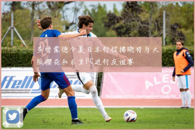 多特蒙德今夏日本行程揭晓将与大阪樱花和东京FC进行友谊赛